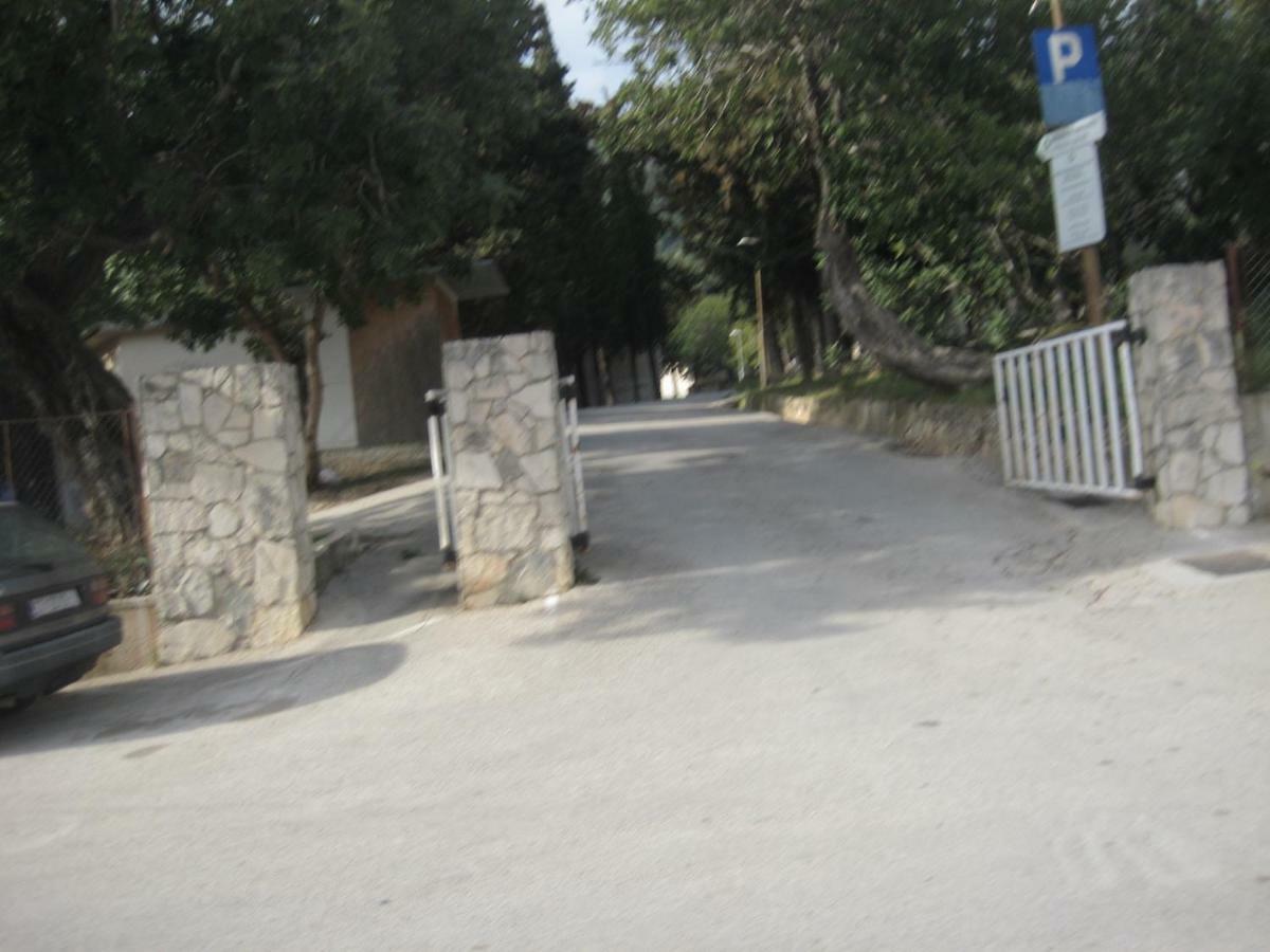 Gala Komiza